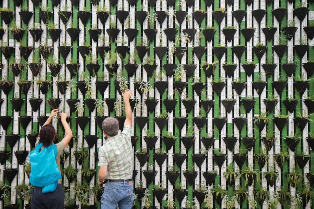 Volunteers planting on living wall