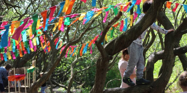 a child tree climbing at biosphere festival, trees adorned with bunting