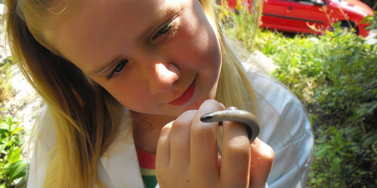 Child holding a slow worm