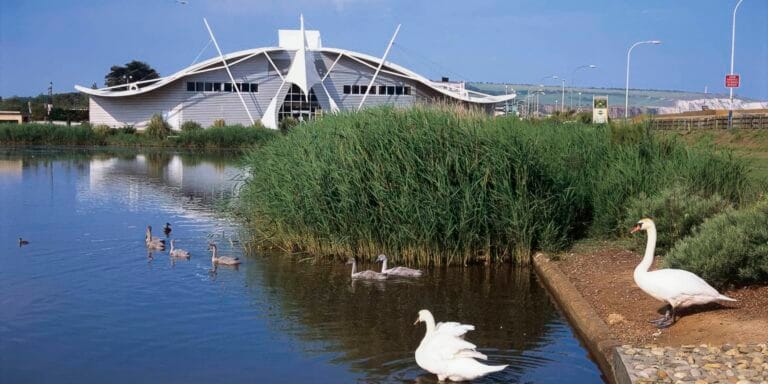 Dinosaur Isle in the background, swans on canoe lake in the foreground