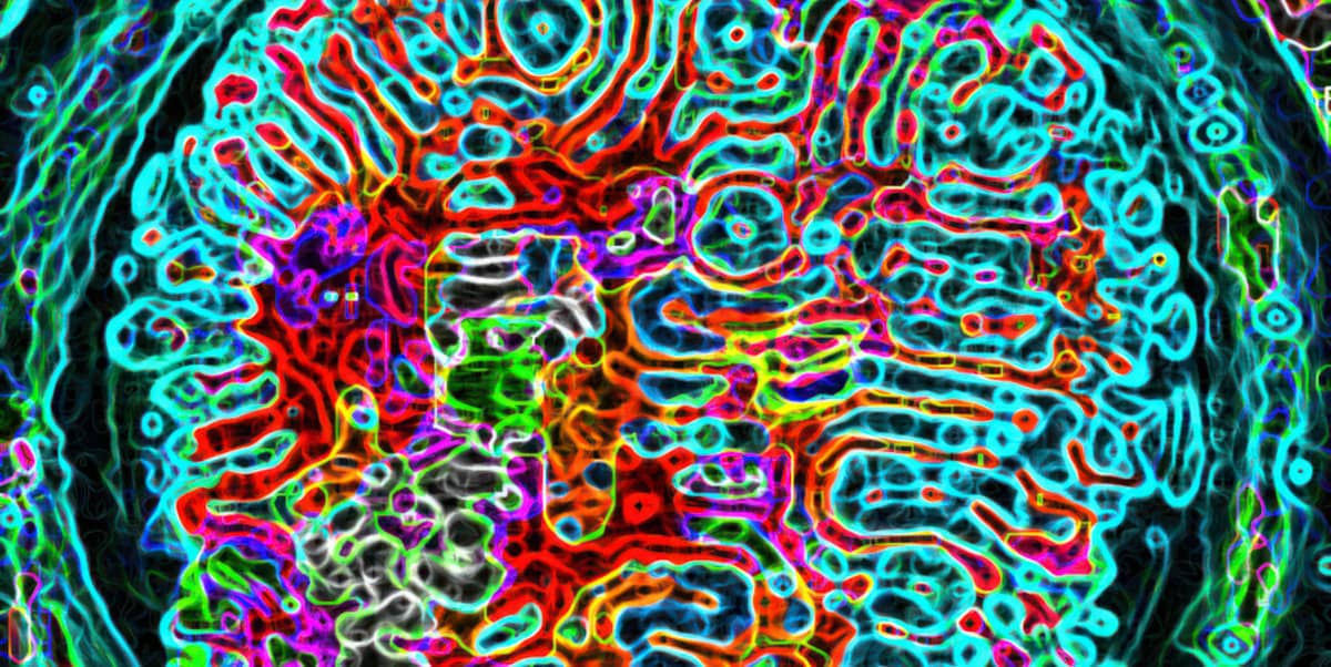 Student voice visualised through cymatic experiment