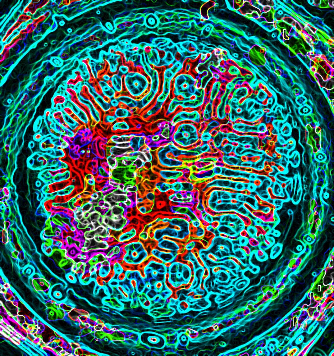 Student voice visualised through cymatic experiment