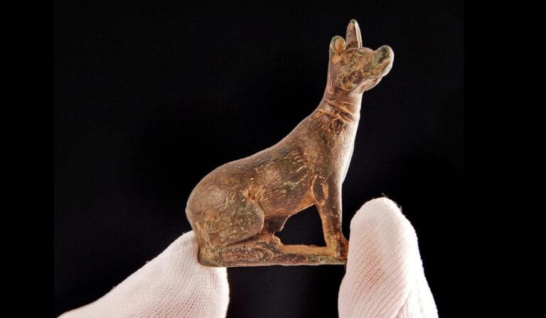 A close up image of a Roman Dog which can be found at Newport Roman Villa.
