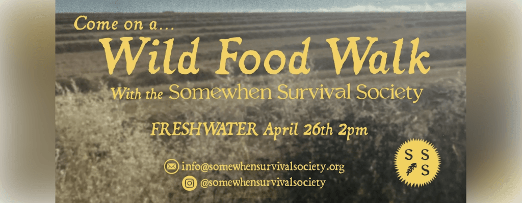 Screenshot 2026-04-01 at 19.38.38