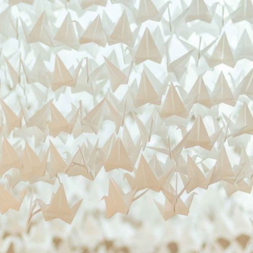 Newsletter Header (4)