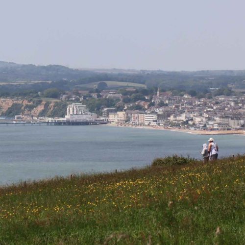 Sandown View