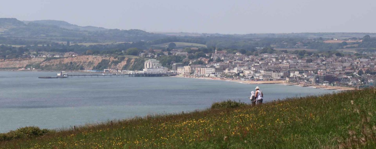 Sandown View