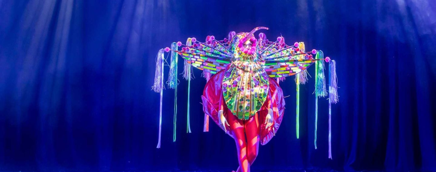 Shademakers | Keep The Planet Green